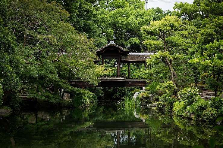 涼しげな夏の日本庭園へ