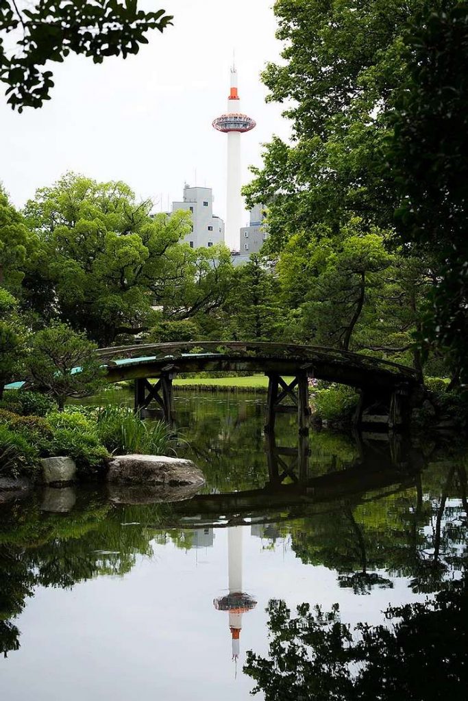 涼しげな夏の日本庭園へ