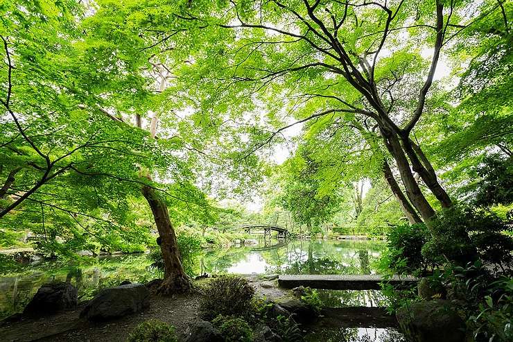 涼しげな夏の日本庭園へ